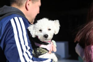 JORNADA VACUNACION ANTIRRABICA LA PLATA