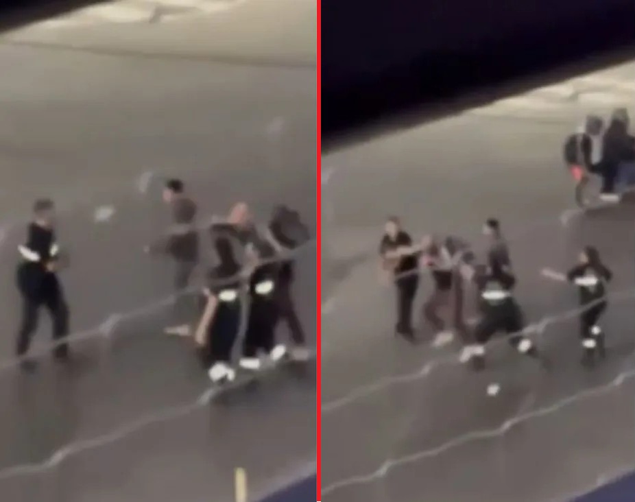 pelea-trapitos-e-inspectores