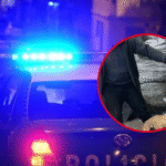 Denunciaron a un hombre por maltrato animal en 163 y 67: piden el rescate del animal