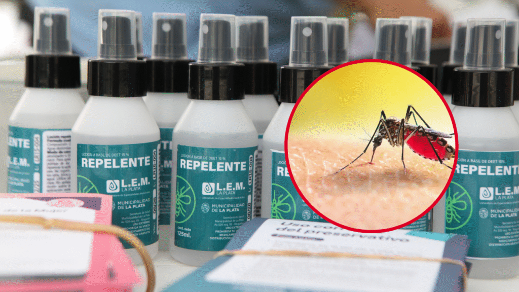 DENGUE