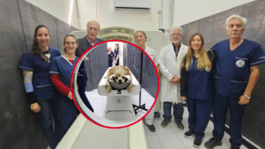 TOMOGRAFO HOSPITAL ESCUELA UNLP