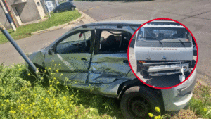 pelea choque garraferos