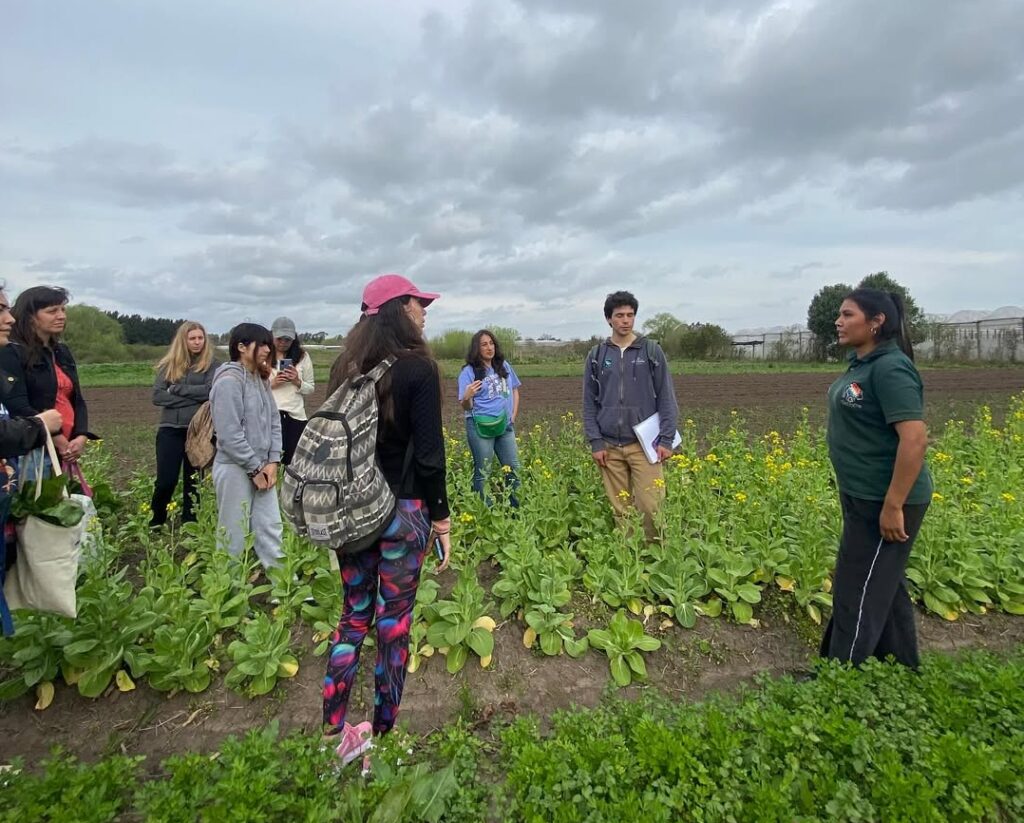 7ma-edicion-recorrida-quintas-viveros-abasto