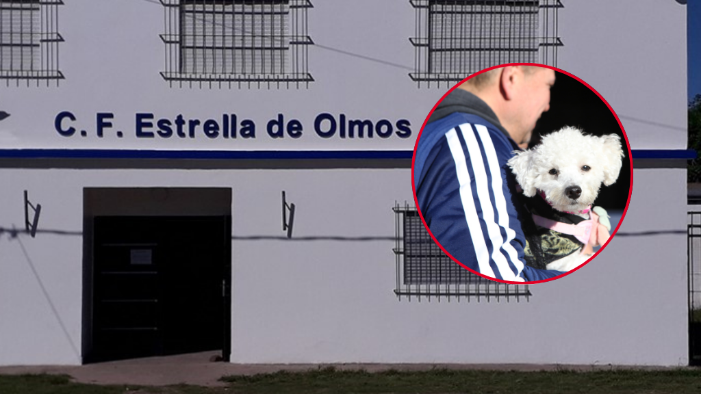 CENTRO FOMENTO ESTRELLA DE OLMOS - VACUNACION PERROS Y GATOS