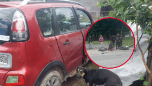 IDENTICIARON A LOS INVOLUCRADOS EN EL ACCIDENTE DE 520 Y 185