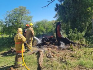 INCENDIO DE EUCALIPTO (1)