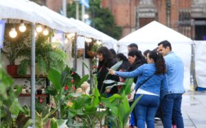 LA PLATA EN FLOR PLAZA MORENO