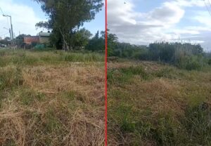 LIMPIEZA-159Y60-LOS-HORNOS