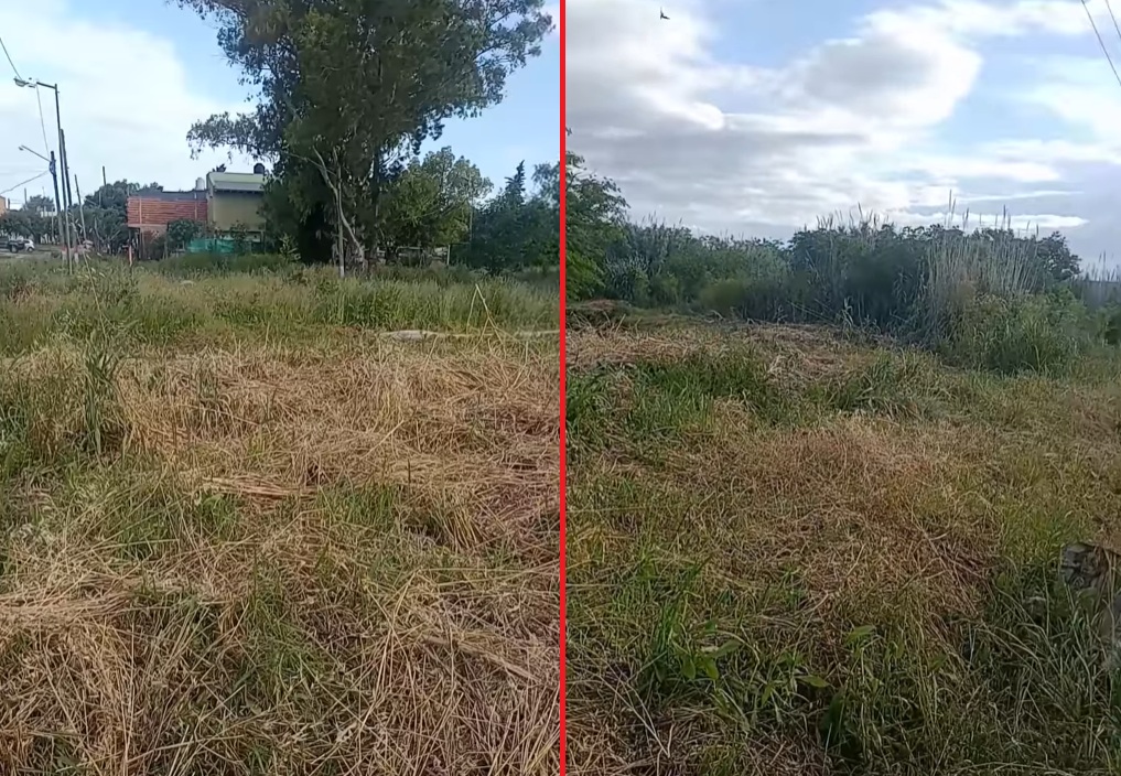 LIMPIEZA-159Y60-LOS-HORNOS