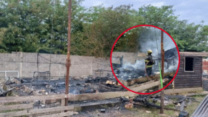 INCENDIO EN SAN CARLOS