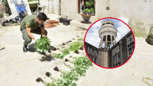 BANDA QUE OPERABA DESDE LA UNIDAD 1