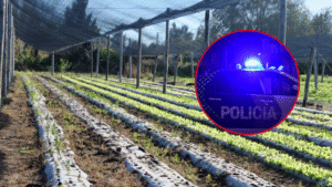 robo-productores-quinteros-517-203