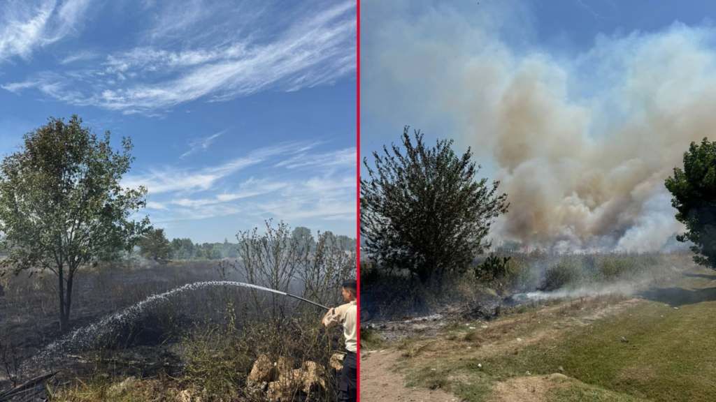 INCENDIO EN EL PELIGRO