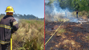 INCENDIO ARTURO SEGUÍ