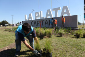 Nuevo proyecto paisajístico - AV 44