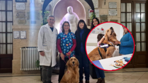 TERAPIA ASISTIDA HOSPITAL DE NIÑOS