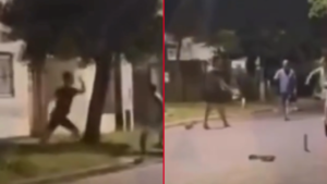 pelea-fuegos-artificiales-perros-vecinos