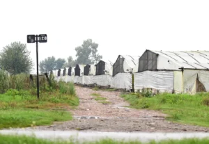 quintas-quinteros-produccion-cordon-frutihorticola-05jpg