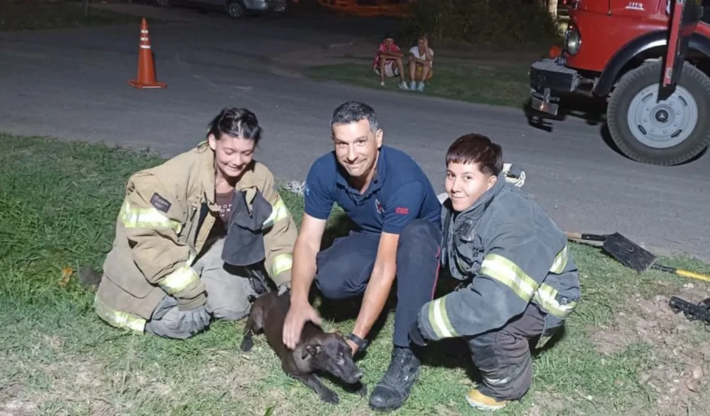 BOMBEROS VOLUNTARIOS DE ARTURO SEGUÍ