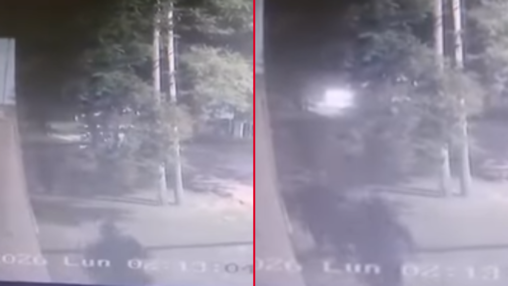 DELINCUENTES SAN CARLOS