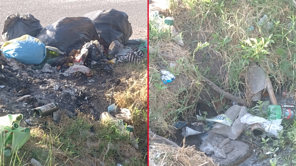 BASURA Y ROEDORES EN 153 Y 56