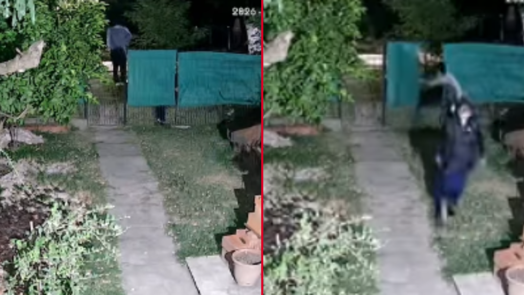 INGRESARON A UNA VIVIENDA LOS HORNOS