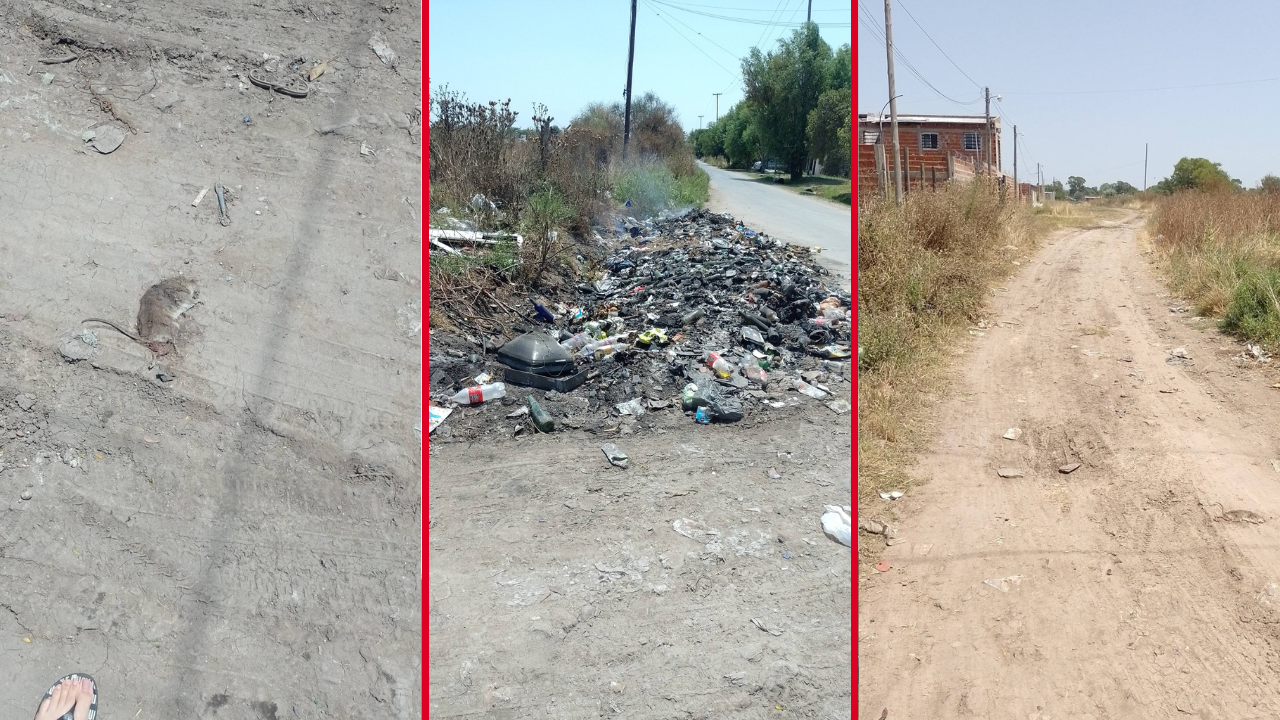 Vecinos de 157 y 55 denuncian abandono, basura acumulada y ratas ...