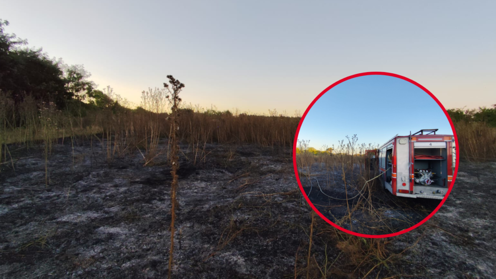 INCENDIO EN UN DESCAMPADO DE 143 Y 404 BOMBEROS DE ARTURO SEGUÍ