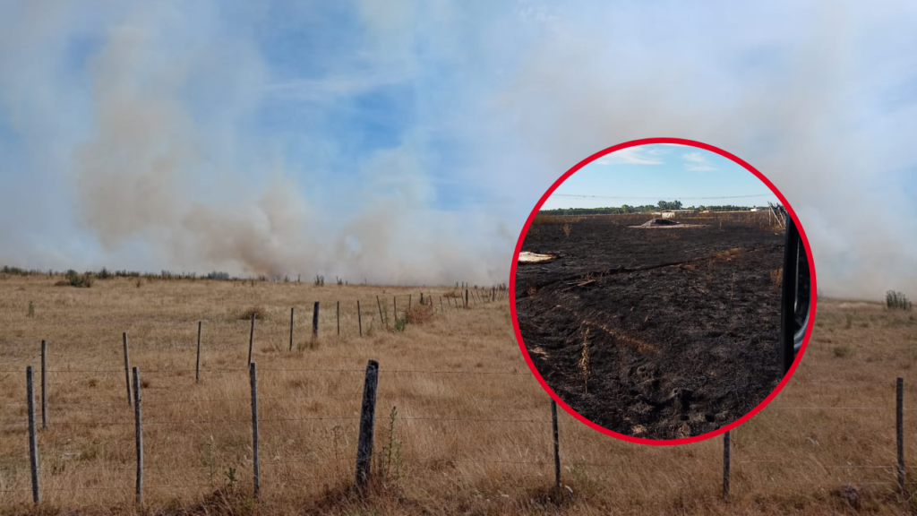 INCENDIO FORESTAL EL PELIGRO