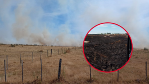 INCENDIO FORESTAL EL PELIGRO