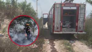 BOMBEROS ARTURO SEGUÍ