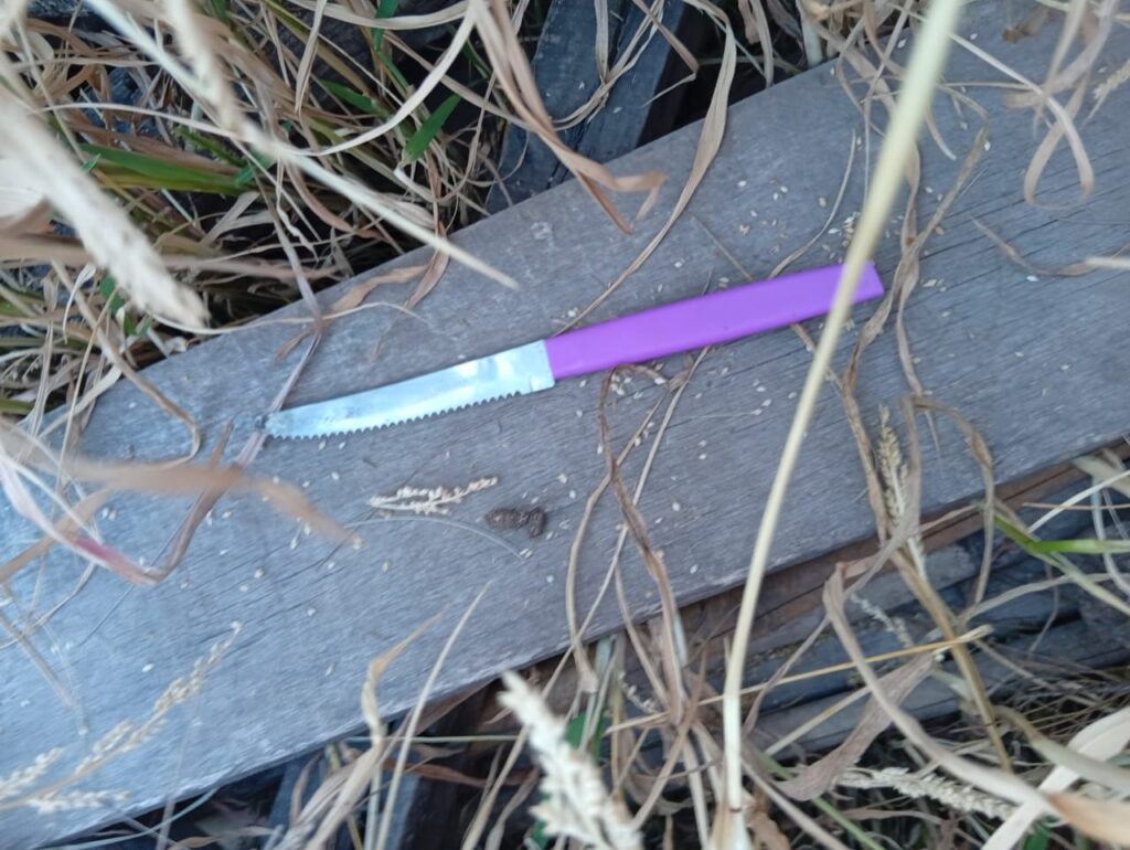 CUCHILLO CONFLICTO FAMILIAR