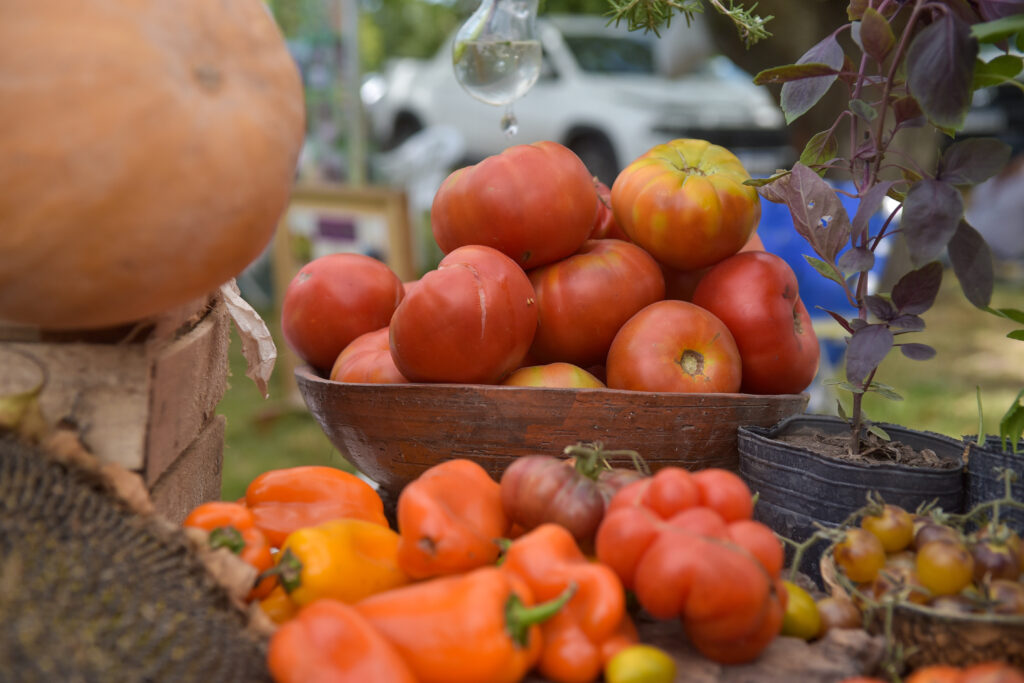 FIESTA DEL TOMATE PLATENSE