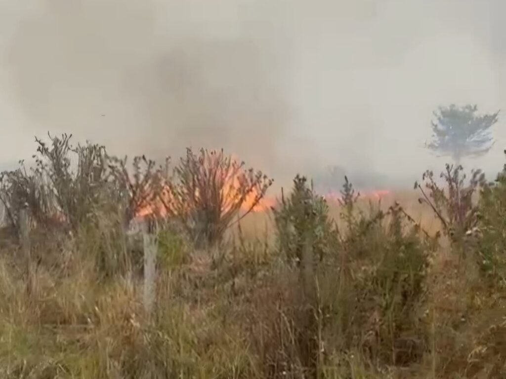 INCENDIO AUTÓDROMO MOURAS