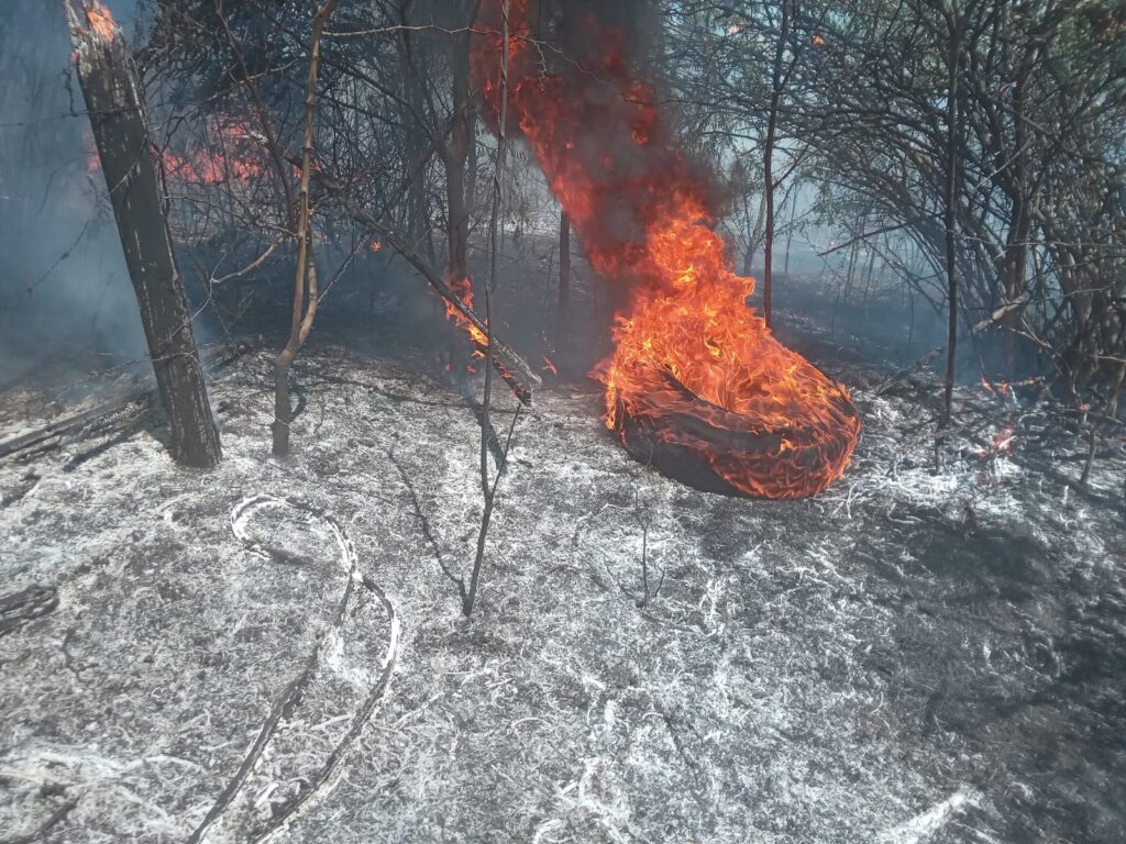 INCENDIO DE CAMPOS PARQUE PEREYRA (1)