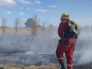 INCENDIO EL PELIGRO 1