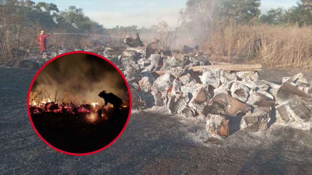 INCENDIO EN ARTURO SEGUÍ