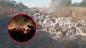 INCENDIO EN ARTURO SEGUÍ