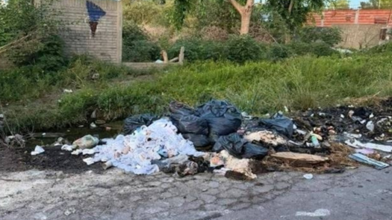 Preocupación por basura acumulada y presencia de roedores en la zona de ...