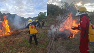 BOMBEROS VOLUNTARIOS ARTURO SEGUÍ