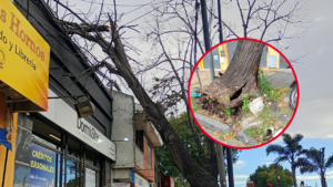 Ludmila DESTACADA_20260322_143714_0000