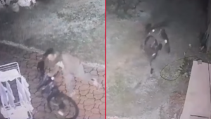 ROBO BICICLETA LOS HORNOS