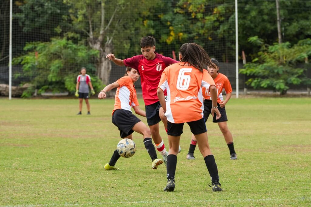 WhatsApp Image 2026-03-19 at 16.48.06