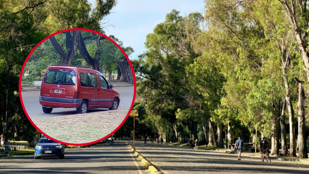 acosador-bosque-la-plata