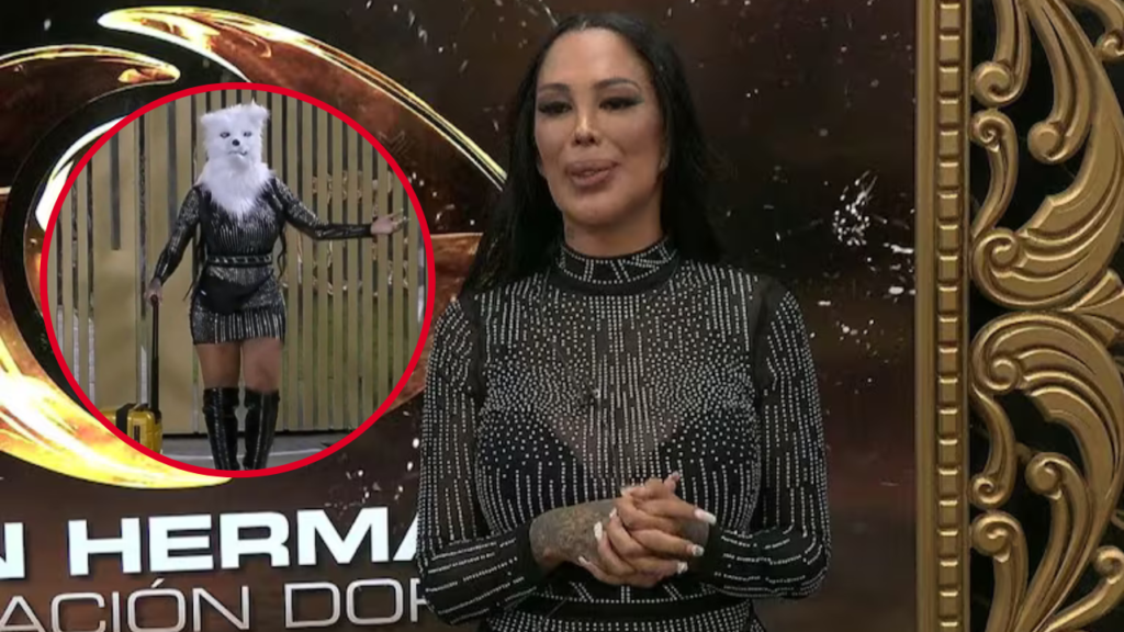 la-maciel-gran-hermano-