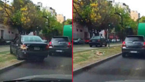 AUTOMOVILISTA-RIESGO-AL-VOLANTE-LA-PLATA