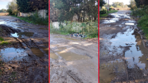 CALLE 54 ENTRE 149 Y 150