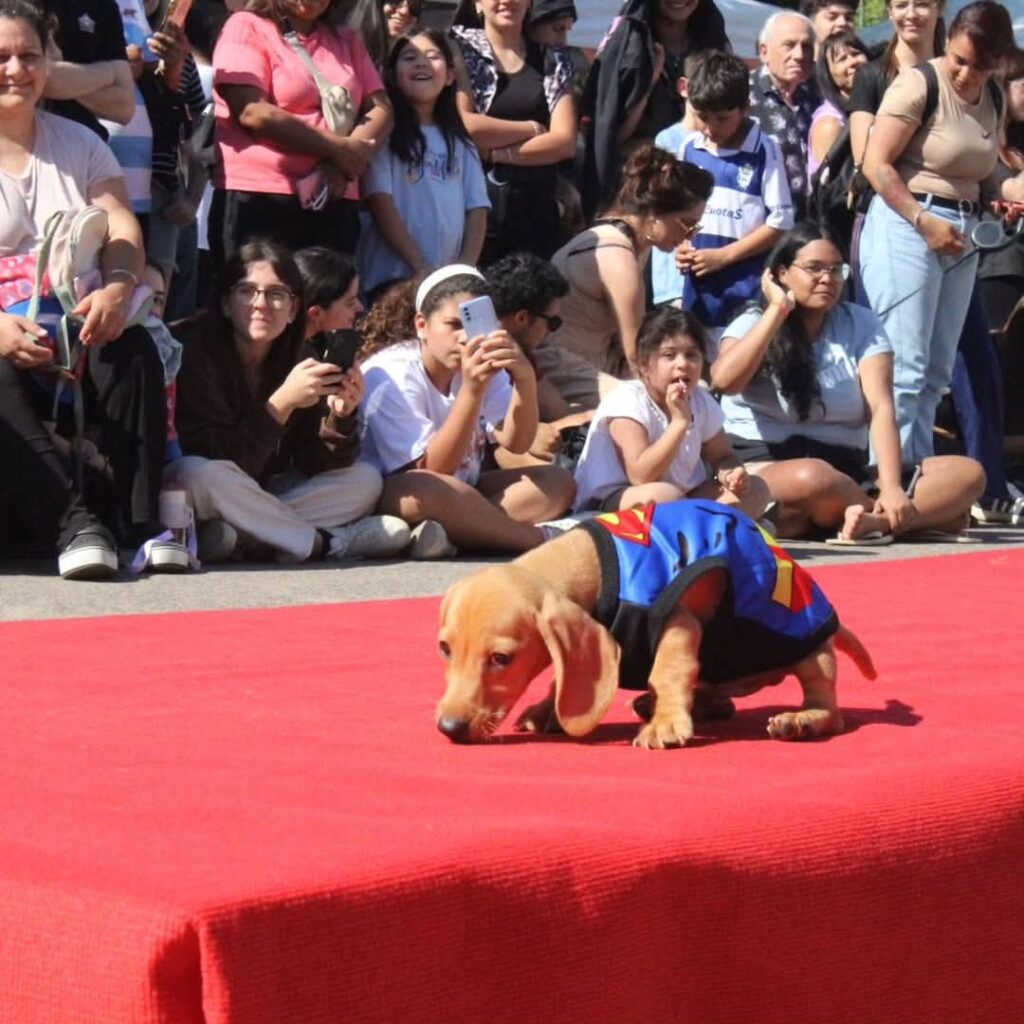 FB_IMG_1777132007375