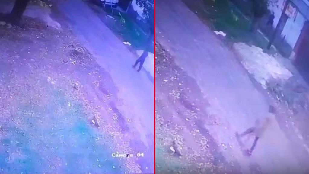 INSEGURIDAD EN SAN CARLOS