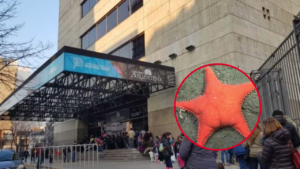 Ludmila DESTACADA_20260405_150441_0000